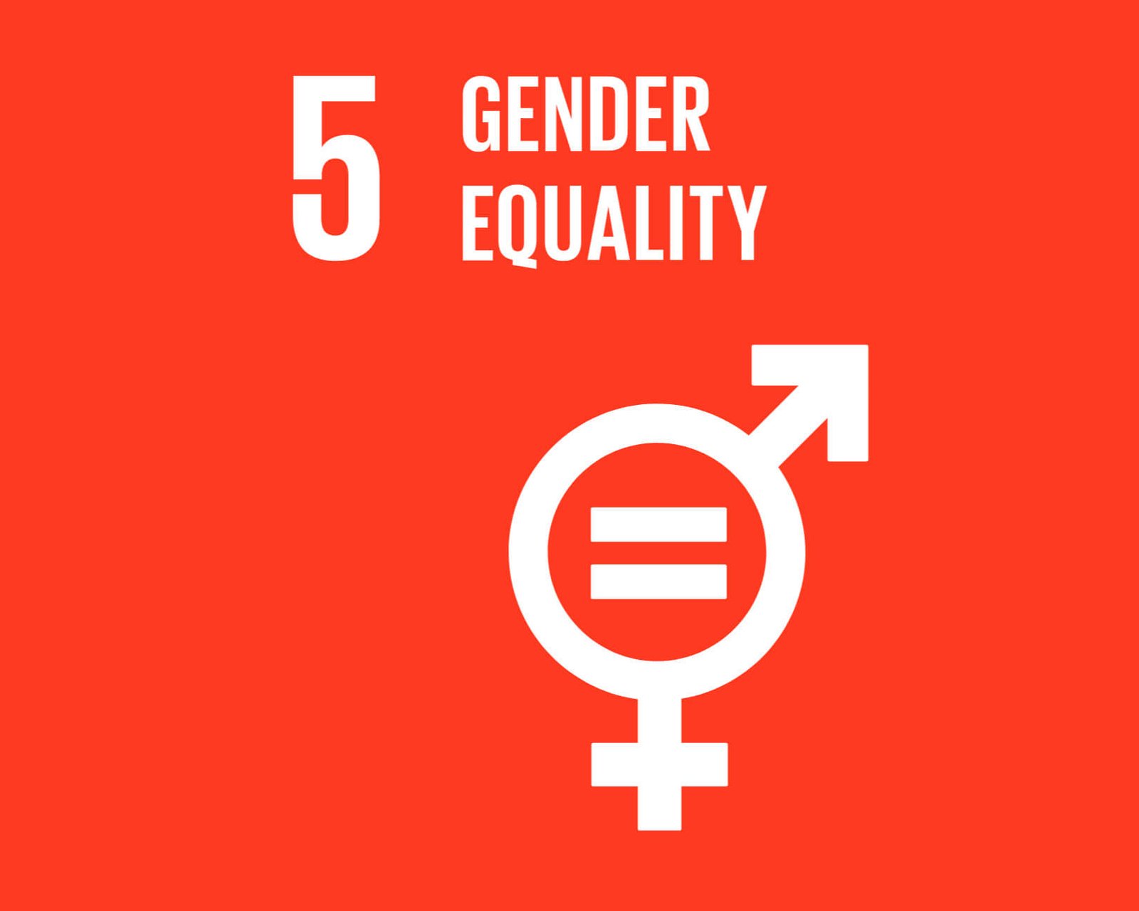 EBEP Express Ecommerce Flat Rate Shipping Impact